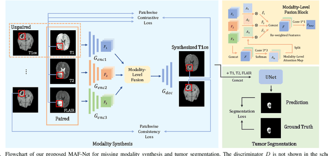 Figure 1 for Multi-modal Brain Tumor Segmentation via Missing Modality Synthesis and Modality-level Attention Fusion