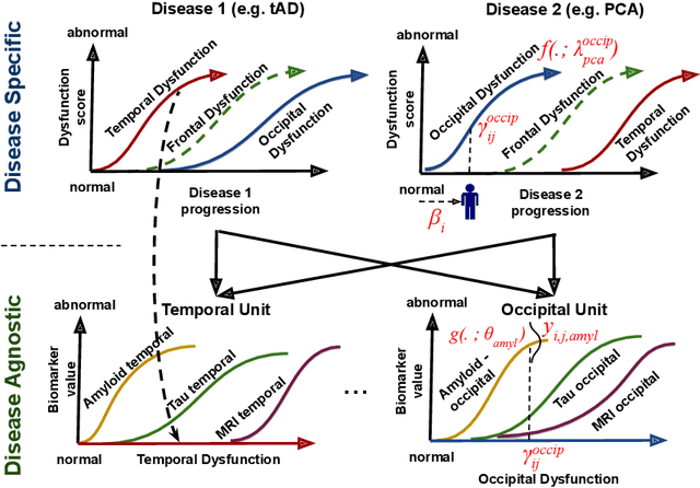 Figure 1 for Disease Knowledge Transfer across Neurodegenerative Diseases