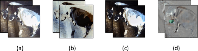 Figure 2 for Dairy Cow rumination detection: A deep learning approach