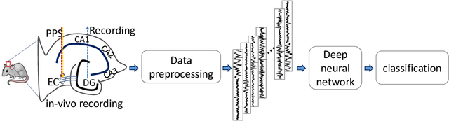 Figure 3 for Towards Early Diagnosis of Epilepsy from EEG Data