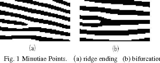 Figure 1 for Minutiae Extraction from Fingerprint Images - a Review