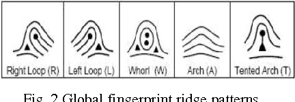Figure 2 for Minutiae Extraction from Fingerprint Images - a Review