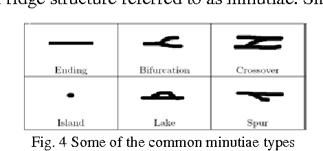 Figure 4 for Minutiae Extraction from Fingerprint Images - a Review