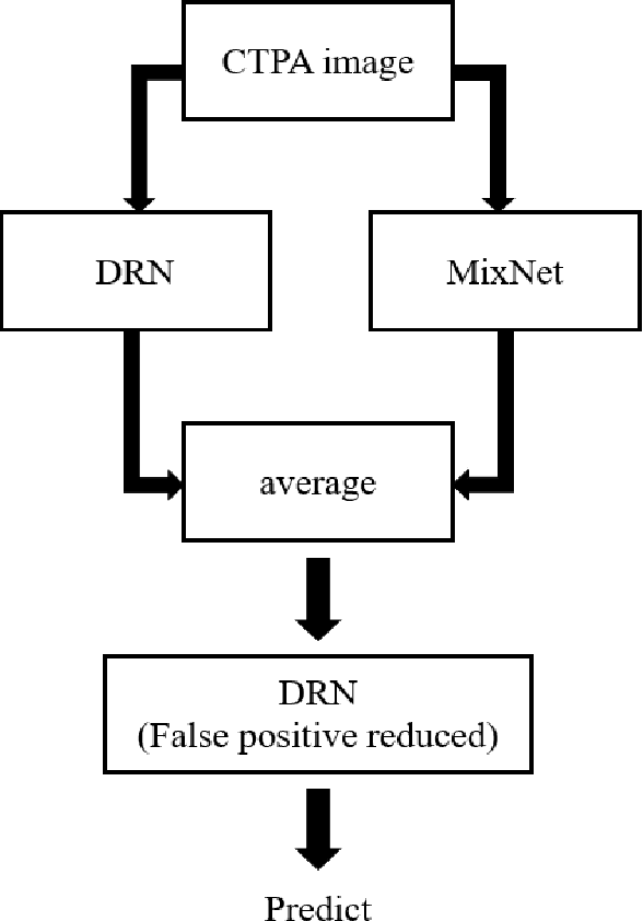 Figure 4 for Convolutional Neural Network for Early Pulmonary Embolism Detection via Computed Tomography Pulmonary Angiography