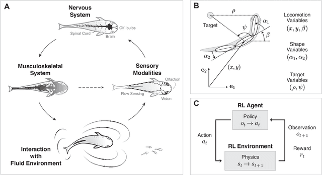 Figure 1 for Learning to swim in potential flow