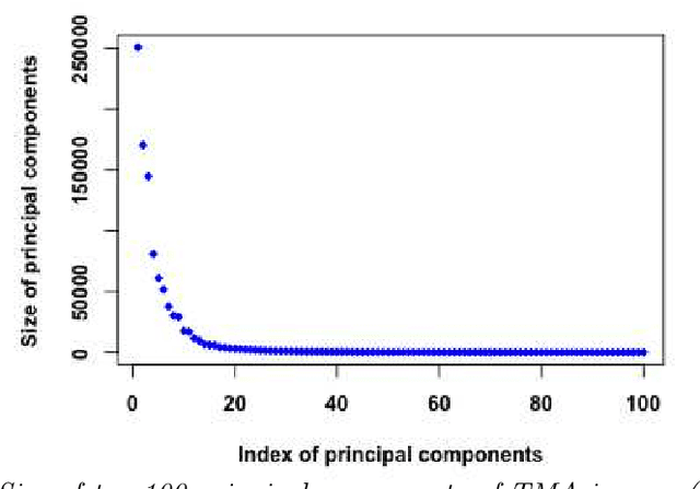 Figure 3 for Learning Low-dimensional Manifolds for Scoring of Tissue Microarray Images