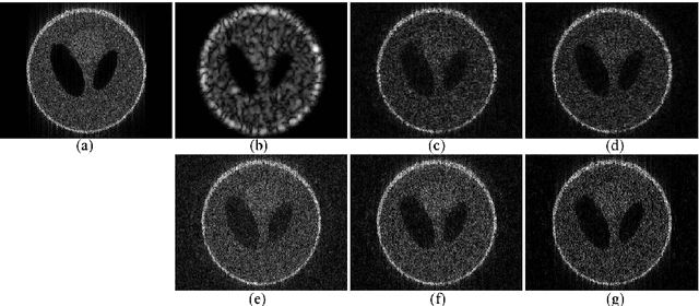 Figure 1 for Compressive Deconvolution in Medical Ultrasound Imaging