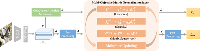 Figure 3 for Multi-Objective Matrix Normalization for Fine-grained Visual Recognition