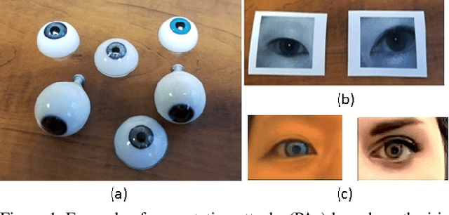 Figure 1 for D-NetPAD: An Explainable and Interpretable Iris Presentation Attack Detector