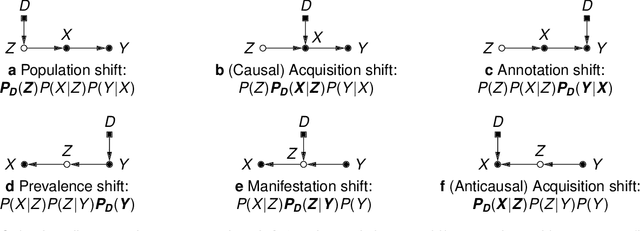 Figure 4 for Causality matters in medical imaging