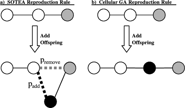 Figure 3 for The Self-Organization of Interaction Networks for Nature-Inspired Optimization