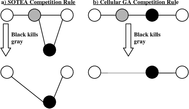 Figure 4 for The Self-Organization of Interaction Networks for Nature-Inspired Optimization