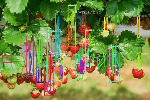 Figure 3 for Deep Learning approach for Classifying Trusses and Runners of Strawberries