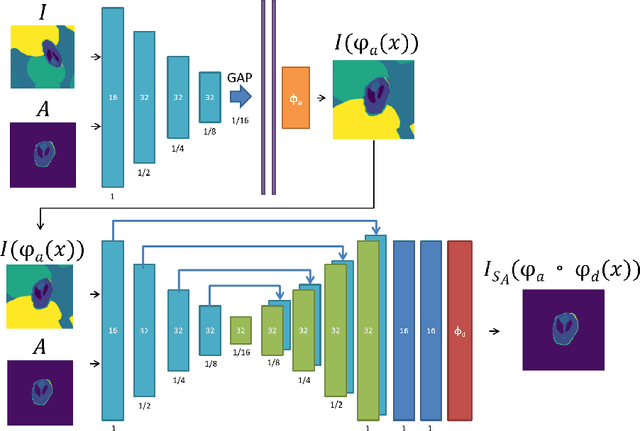 Figure 1 for Towards segmentation and spatial alignment of the human embryonic brain using deep learning for atlas-based registration