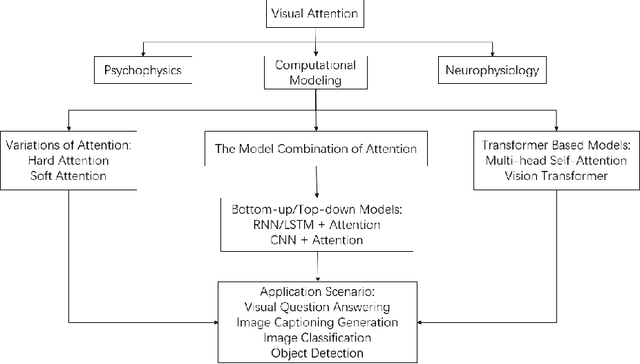 Figure 1 for Relating Blindsight and AI: A Review