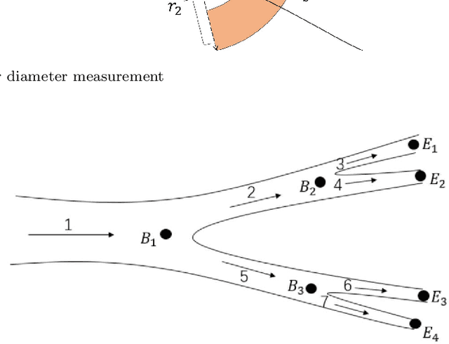 Figure 4 for Two New Stenoses Detection Methods of Coronary Angiograms