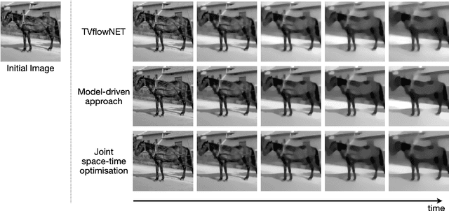 Figure 1 for Unsupervised Learning of the Total Variation Flow