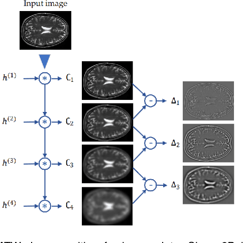 Figure 4 for Adversarial Distortion Learning for Medical Image Denoising