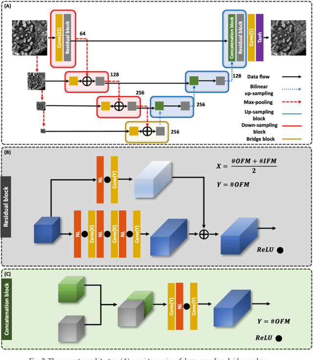 Figure 2 for A deep learning framework for morphologic detail beyond the diffraction limit in infrared spectroscopic imaging