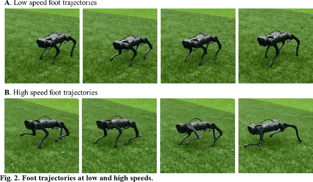 Figure 2 for Learning fast and agile quadrupedal locomotion over complex terrain