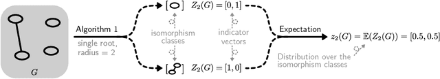 Figure 3 for Learning on Random Balls is Sufficient for Estimating  Graph Parameters