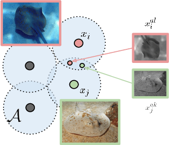 Figure 4 for Representation Learning via Invariant Causal Mechanisms