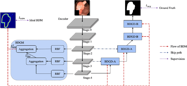 Figure 2 for BDG-Net: Boundary Distribution Guided Network for Accurate Polyp Segmentation