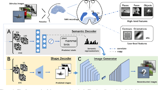 Figure 1 for Reconstructing Perceptive Images from Brain Activity by Shape-Semantic GAN