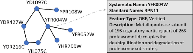 Figure 1 for DPPIN: A Biological Dataset of Dynamic Protein-Protein Interaction Networks