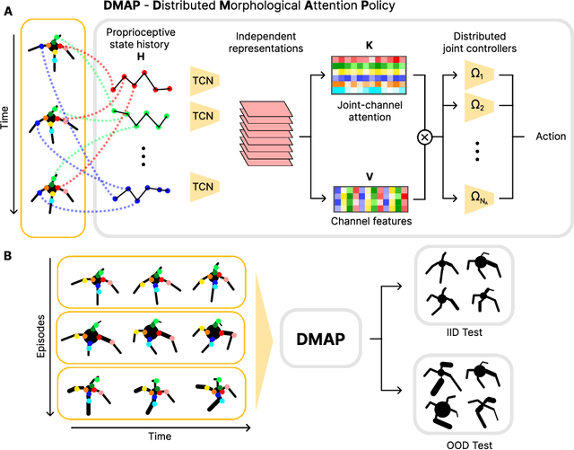 Figure 1 for DMAP: a Distributed Morphological Attention Policy for Learning to Locomote with a Changing Body