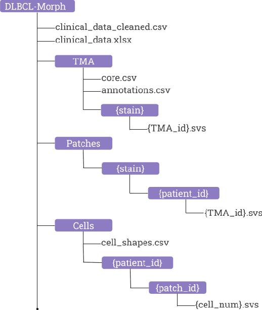 Figure 4 for DLBCL-Morph: Morphological features computed using deep learning for an annotated digital DLBCL image set