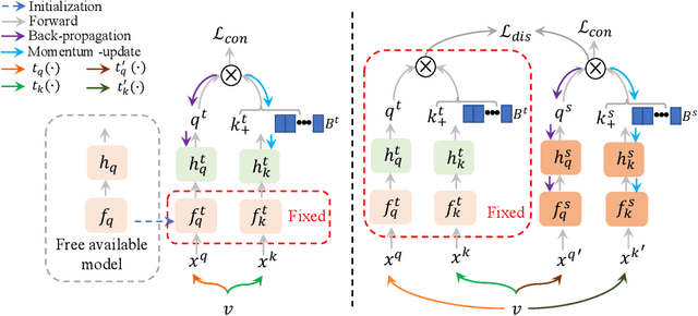 Figure 3 for Free Lunch for Surgical Video Understanding by Distilling Self-Supervisions