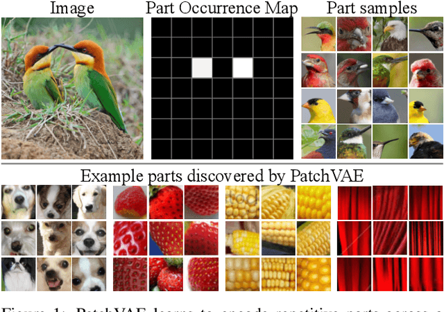 Figure 1 for PatchVAE: Learning Local Latent Codes for Recognition