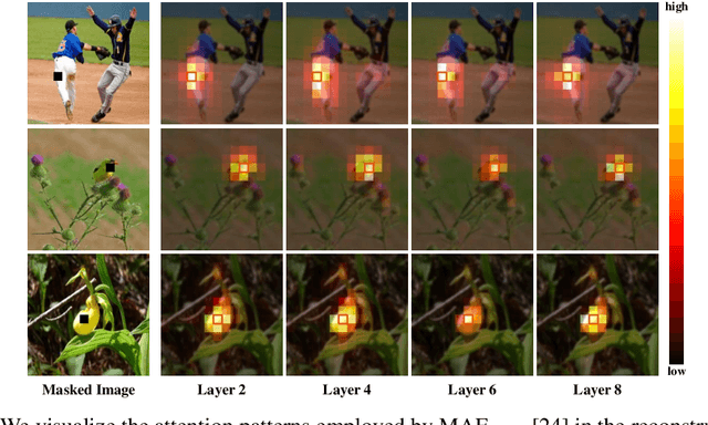 Figure 1 for Efficient Self-supervised Vision Pretraining with Local Masked Reconstruction