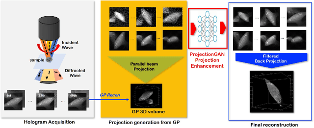 Figure 1 for Unsupervised Missing Cone Deep Learning in Optical Diffraction Tomography