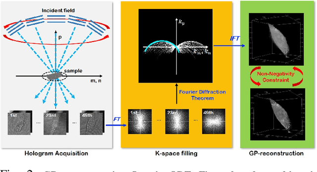 Figure 3 for Unsupervised Missing Cone Deep Learning in Optical Diffraction Tomography