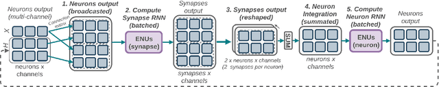 Figure 4 for Network of Evolvable Neural Units: Evolving to Learn at a Synaptic Level