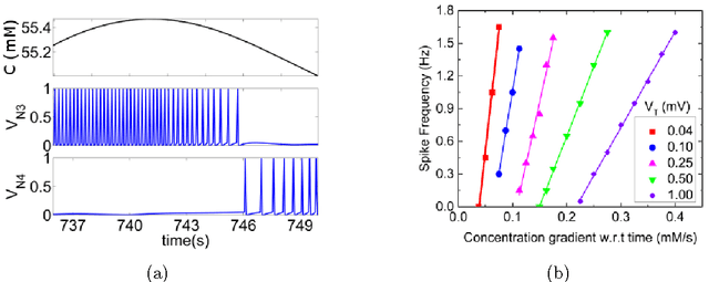 Figure 3 for A neural circuit for navigation inspired by C. elegans Chemotaxis