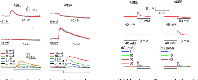 Figure 2 for A neural circuit for navigation inspired by C. elegans Chemotaxis