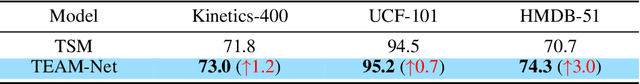 Figure 3 for TEAM-Net: Multi-modal Learning for Video Action Recognition with Partial Decoding