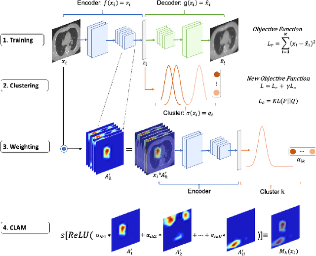 Figure 1 for Cluster Activation Mapping with Applications to Medical Imaging