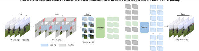 Figure 3 for VideoMAE: Masked Autoencoders are Data-Efficient Learners for Self-Supervised Video Pre-Training