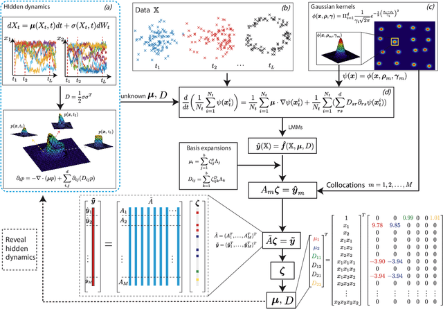 Figure 1 for Weak Collocation Regression method: fast reveal hidden stochastic dynamics from high-dimensional aggregate data