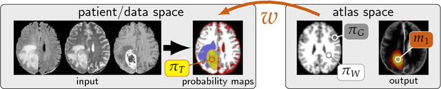 Figure 3 for PDE-constrained optimization in medical image analysis