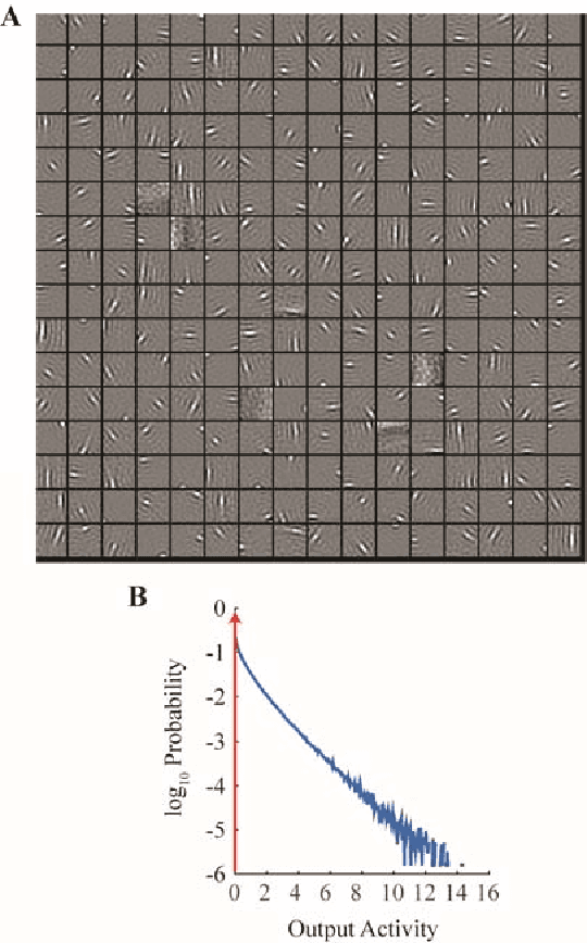 Figure 4 for A Hebbian/Anti-Hebbian Network Derived from Online Non-Negative Matrix Factorization Can Cluster and Discover Sparse Features