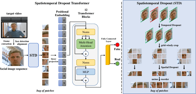 Figure 3 for Deepfake Video Detection with Spatiotemporal Dropout Transformer
