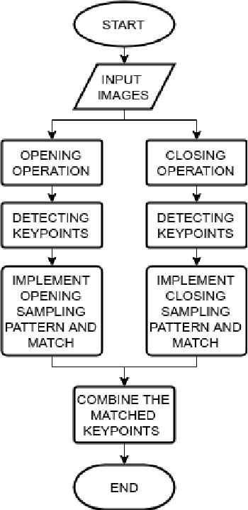 Figure 4 for MREAK : Morphological Retina Keypoint Descriptor