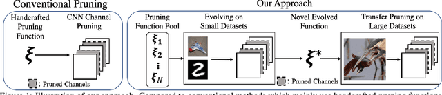 Figure 1 for Evolving Transferable Pruning Functions
