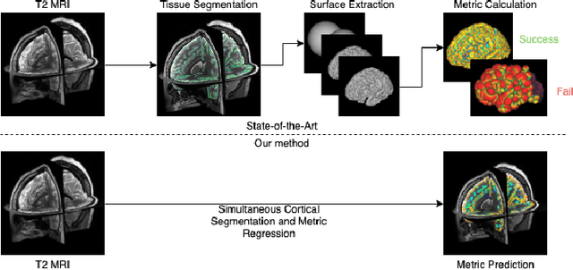 Figure 1 for Surface Agnostic Metrics for Cortical Volume Segmentation and Regression