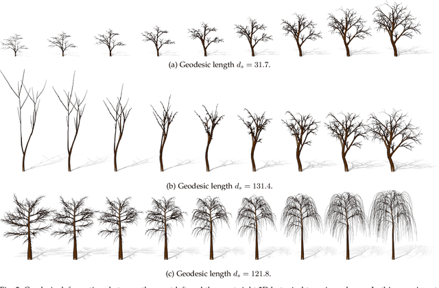 Figure 2 for On the Statistical Analysis of Complex Tree-shaped 3D Objects